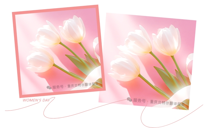 微信截圖_20250305115108.png